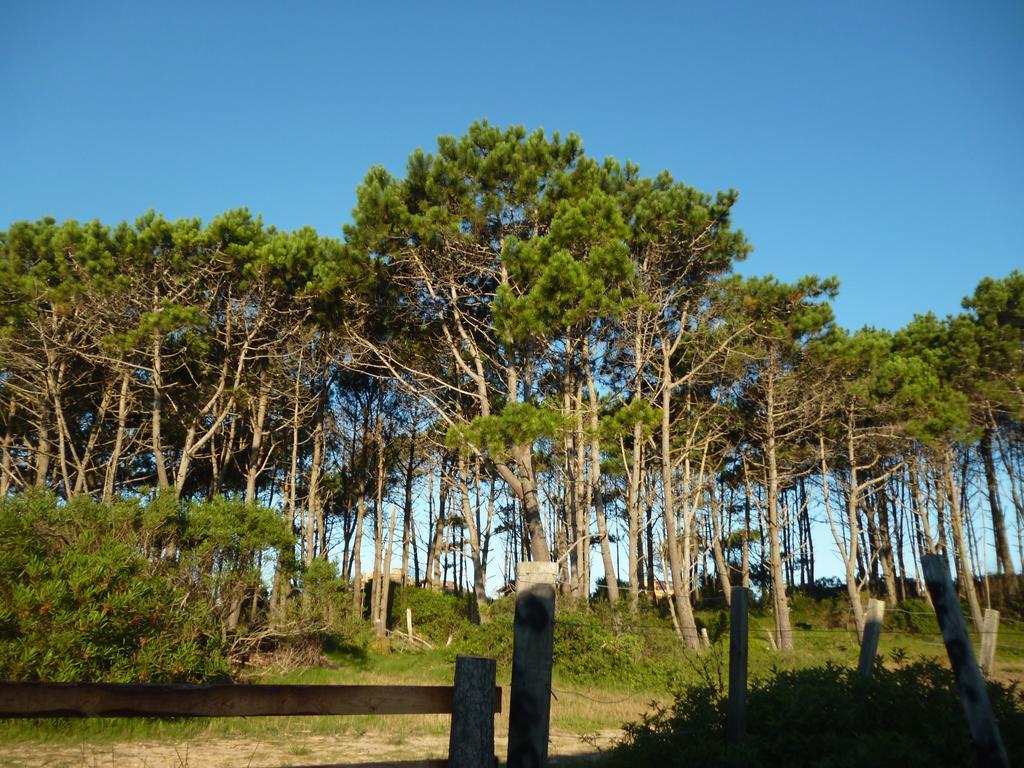 Cabanas Pietragalla Punta Del Diablo Exteriér fotografie